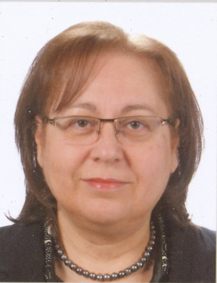 Photo of Prof. Dr. Nil SARI