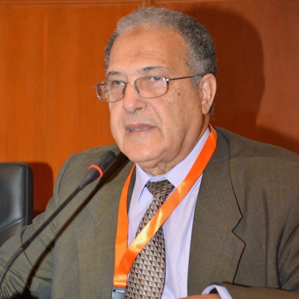 Photo of Prof. Dr. Ahmed Gaffer Hegazi